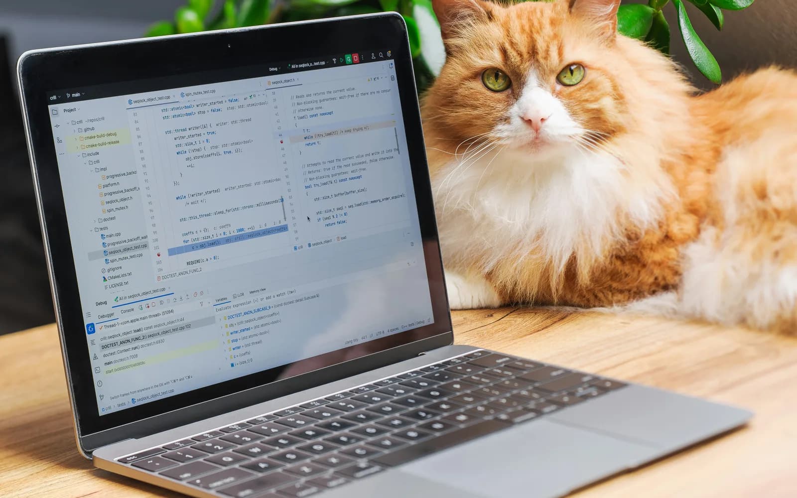 An orange cat sitting beside a laptop